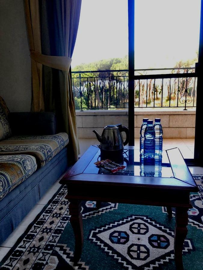 Dynasty Suite Aley Extérieur photo